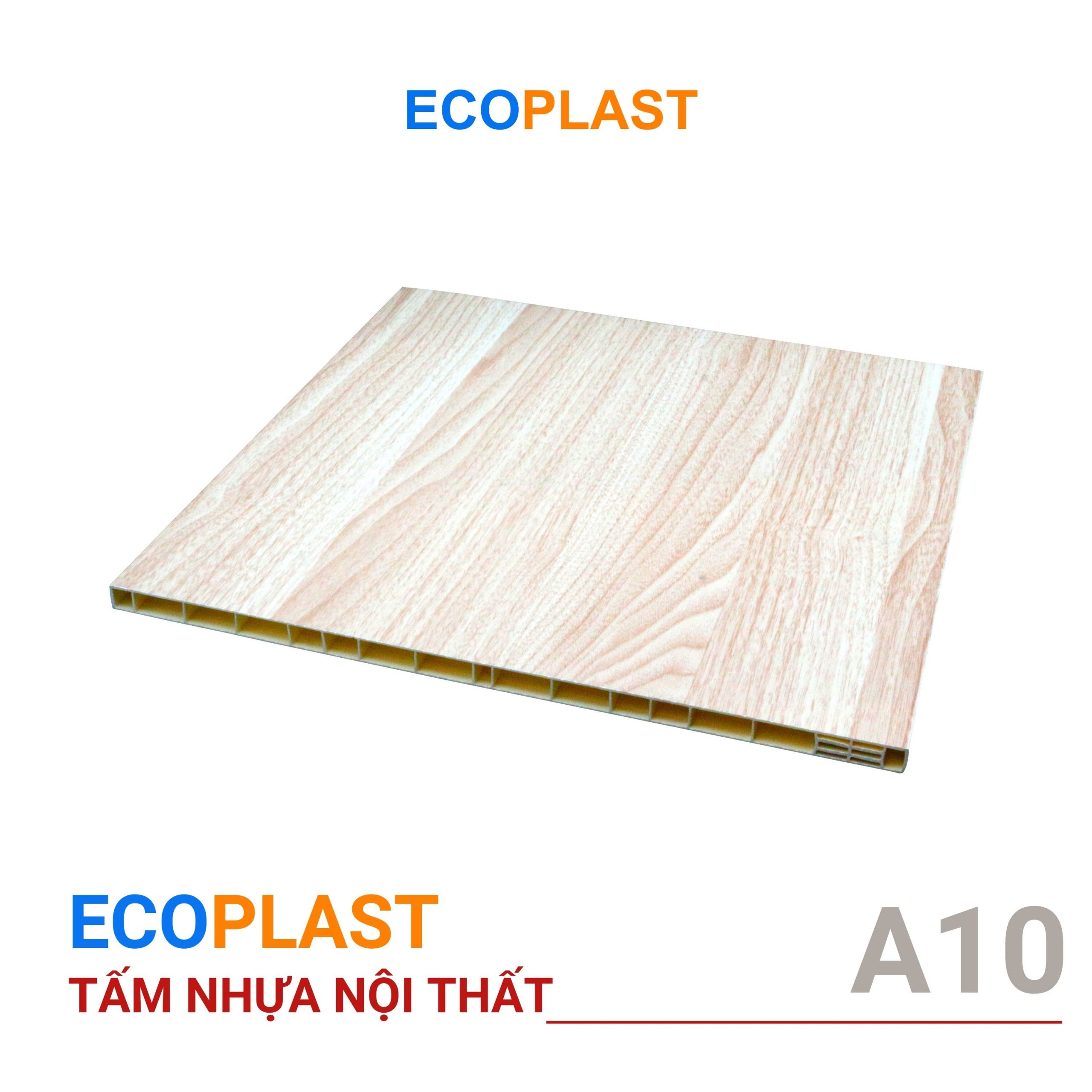 tam-nhua-ecoplast-A10 tam nhua ecoplast A10 scaled